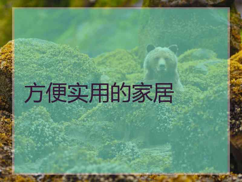 方便实用的家居