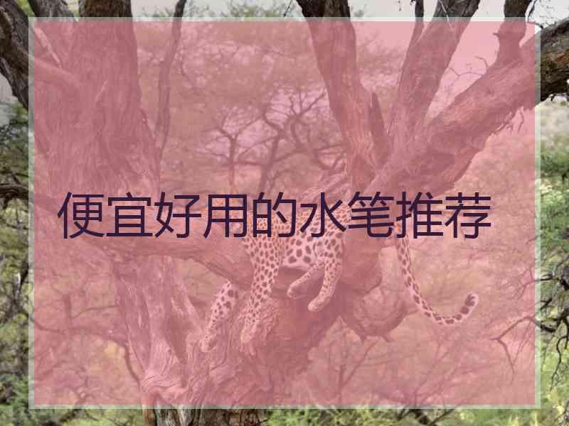 便宜好用的水笔推荐