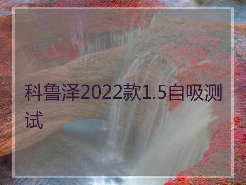 科鲁泽2022款1.5自吸测试