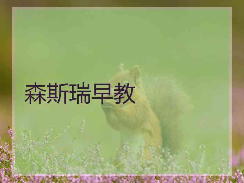 森斯瑞早教
