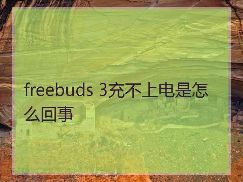 freebuds 3充不上电是怎么回事