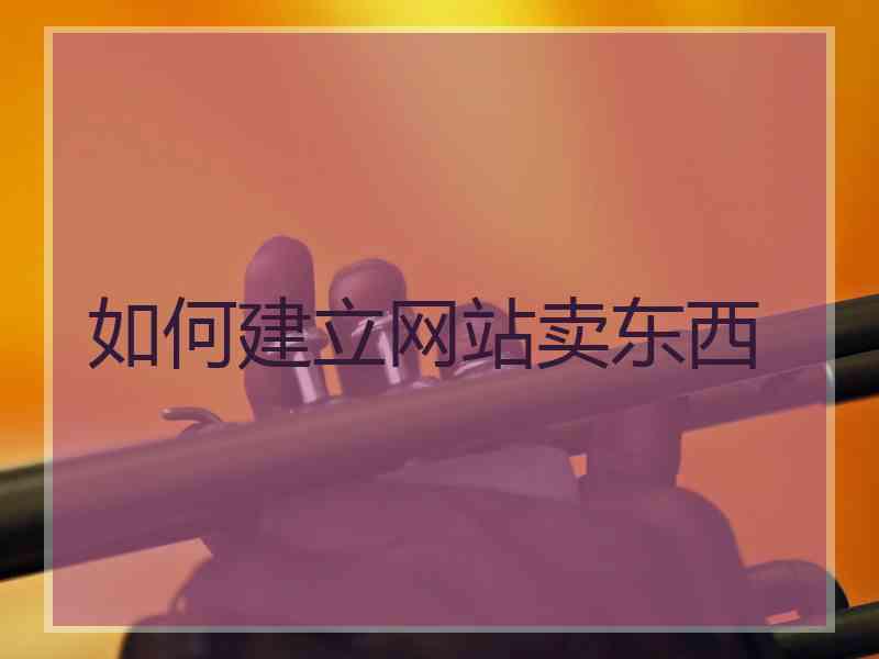 如何建立网站卖东西