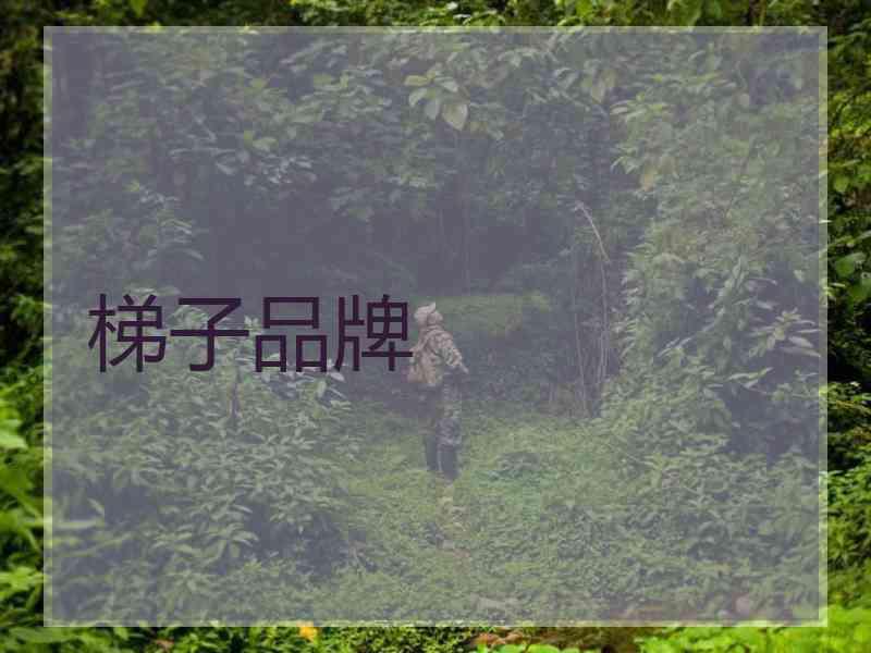 梯子品牌