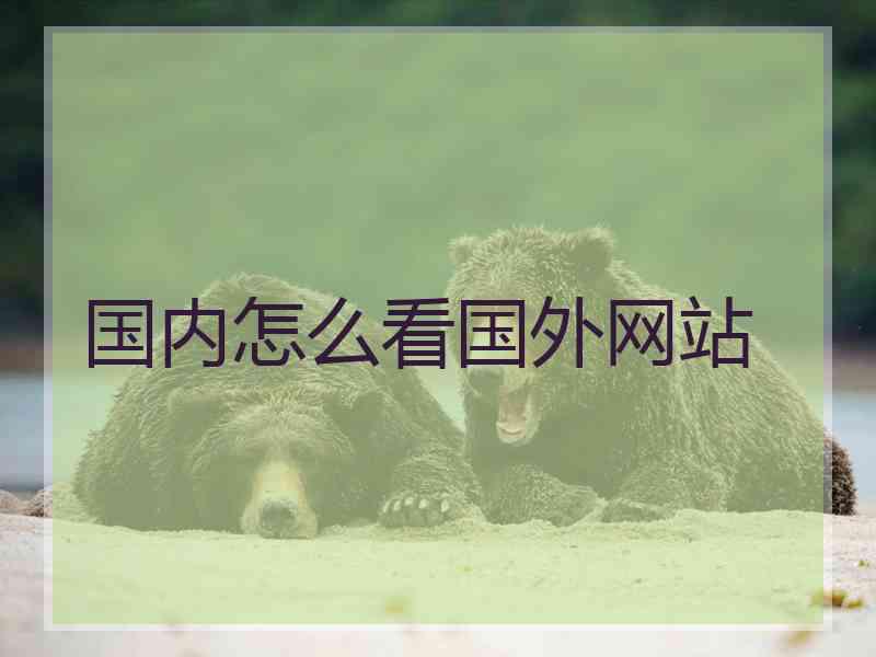 国内怎么看国外网站