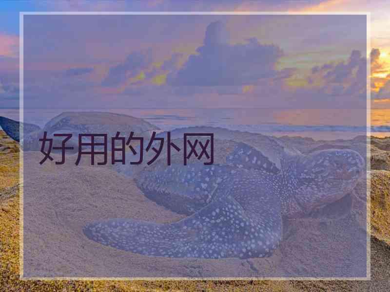 好用的外网