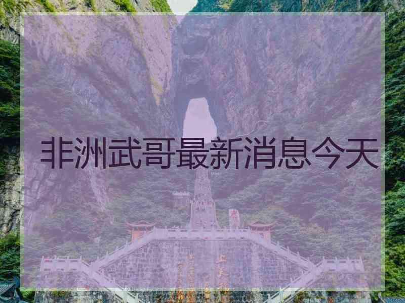 非洲武哥最新消息今天
