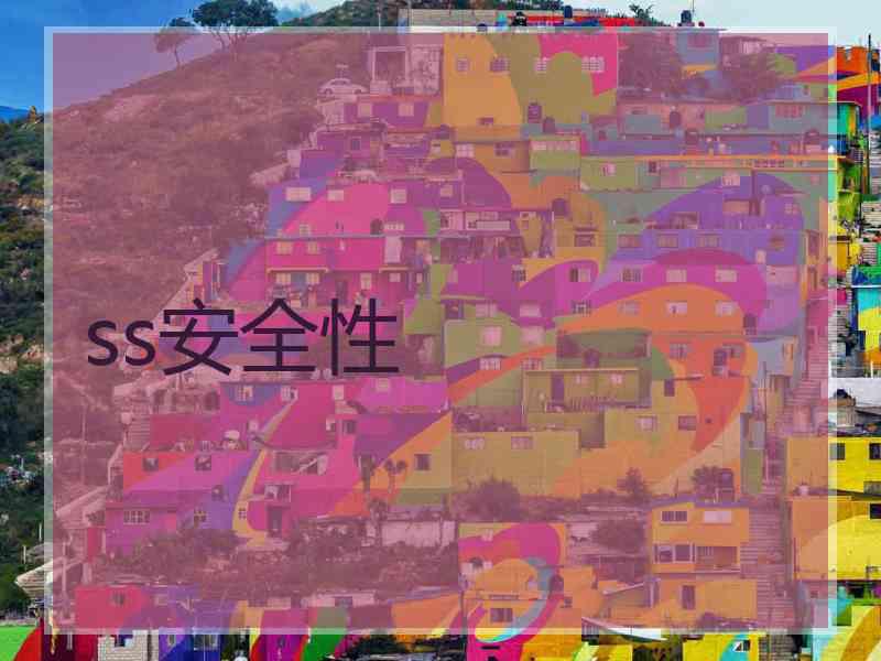 ss安全性