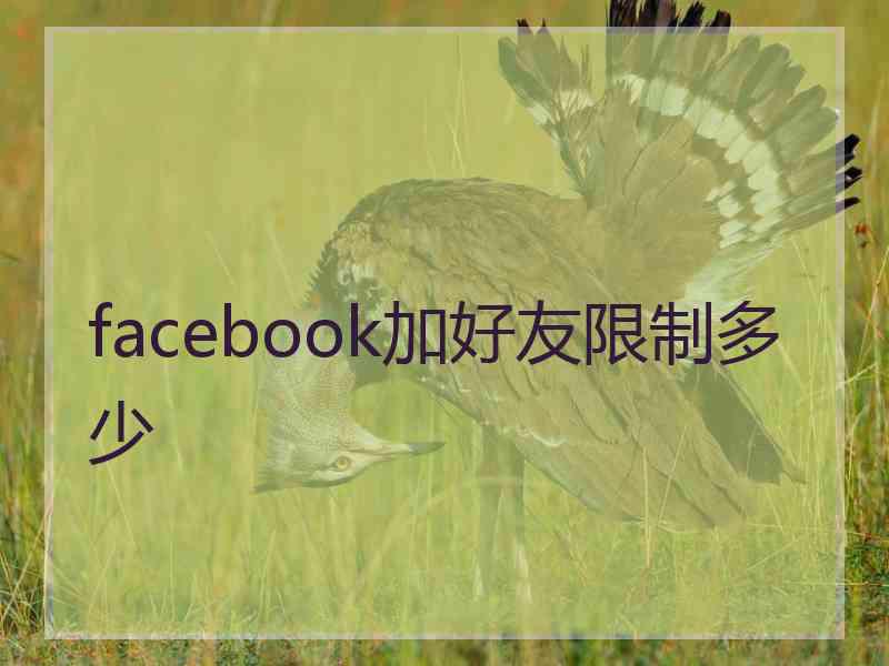 facebook加好友限制多少