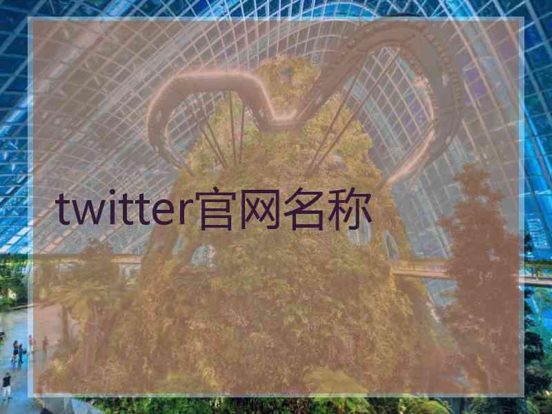twitter官网名称