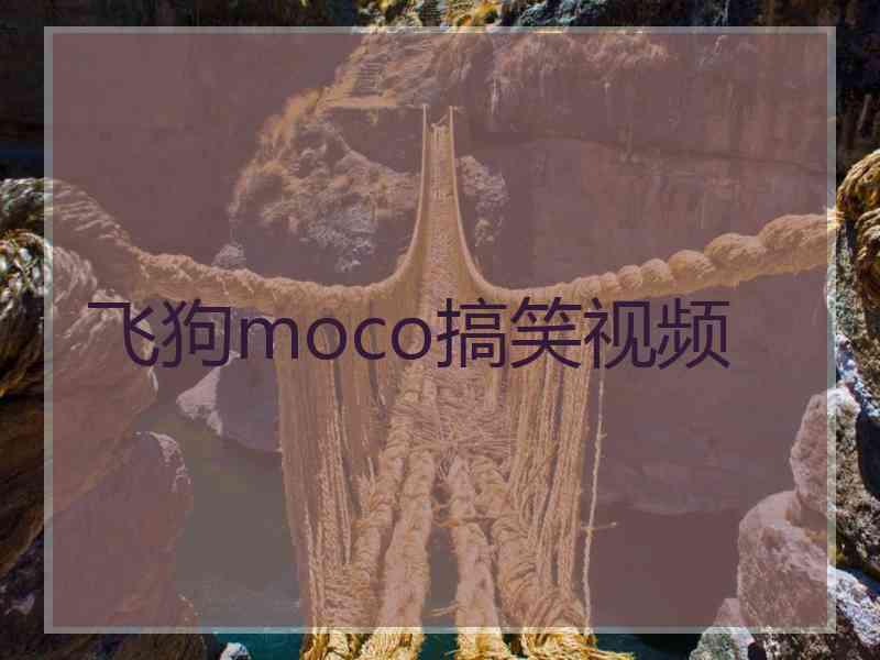 飞狗moco搞笑视频