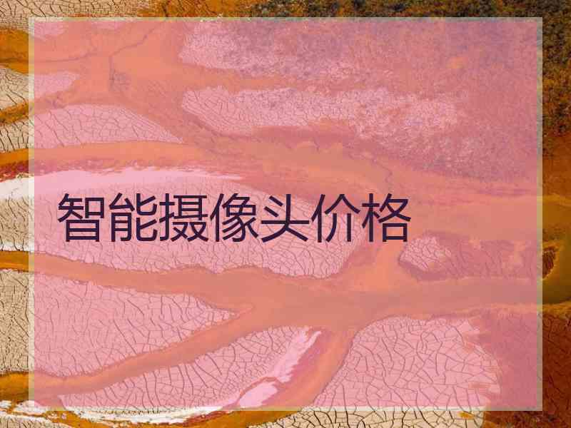 智能摄像头价格
