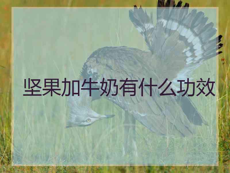 坚果加牛奶有什么功效
