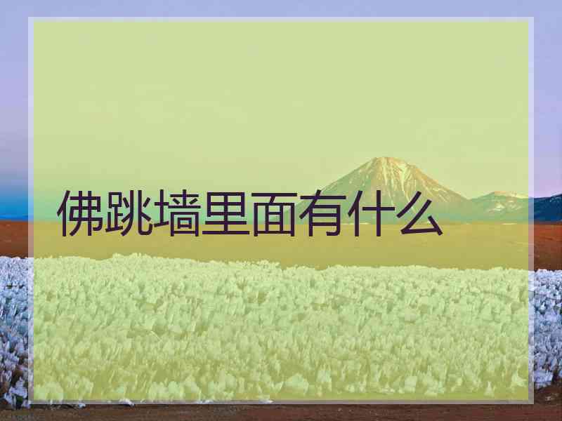 佛跳墙里面有什么