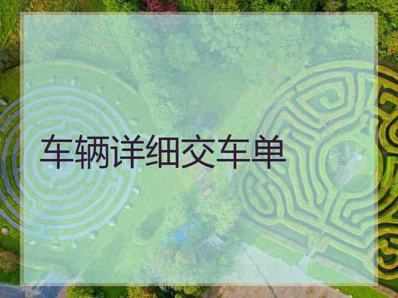 车辆详细交车单