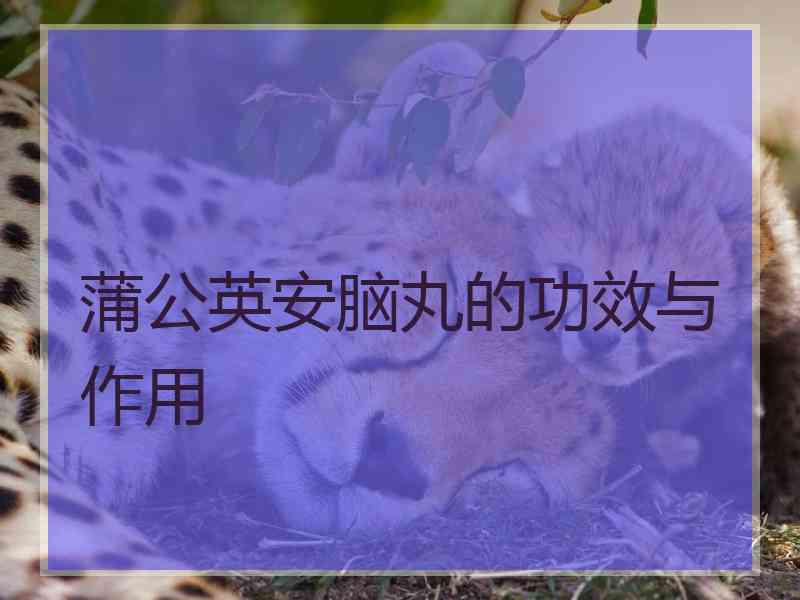 蒲公英安脑丸的功效与作用