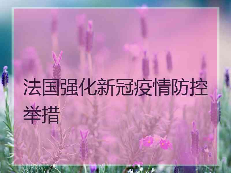 法国强化新冠疫情防控举措