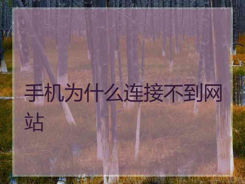 手机为什么连接不到网站