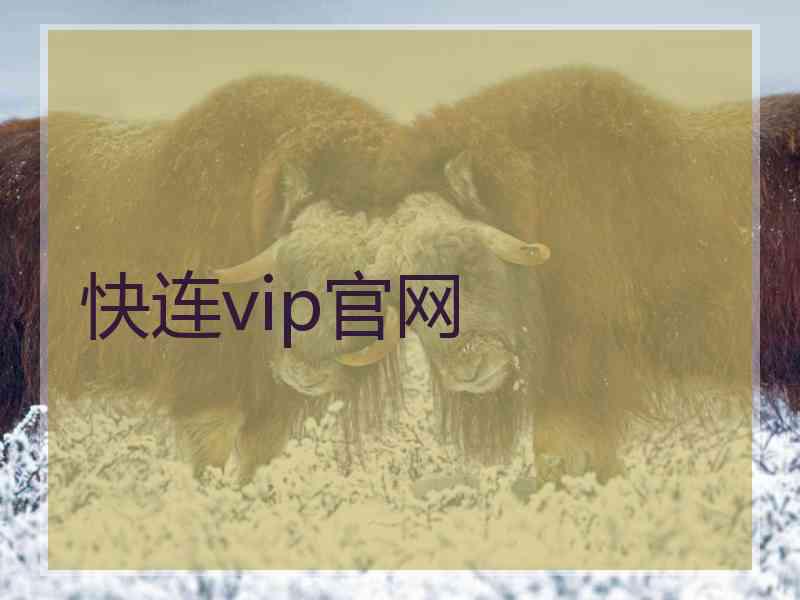 快连vip官网