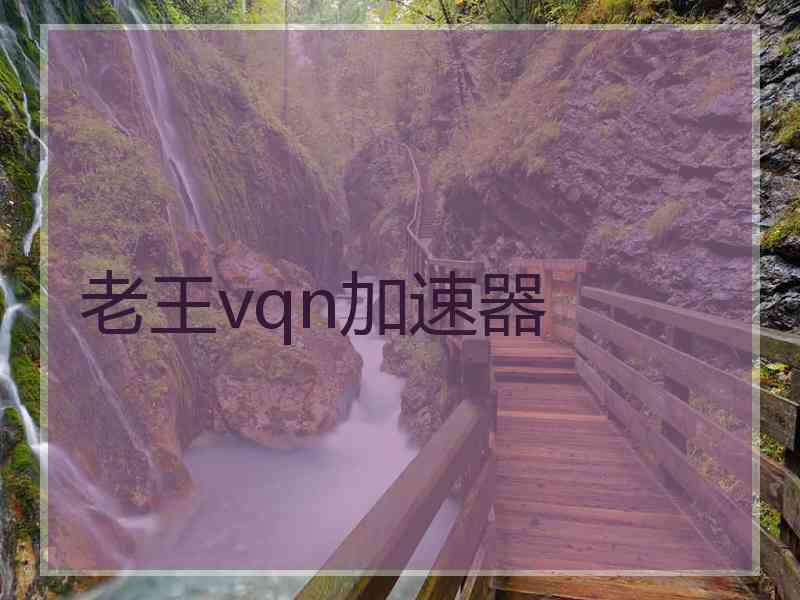 老王vqn加速器