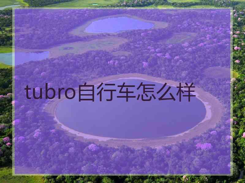 tubro自行车怎么样