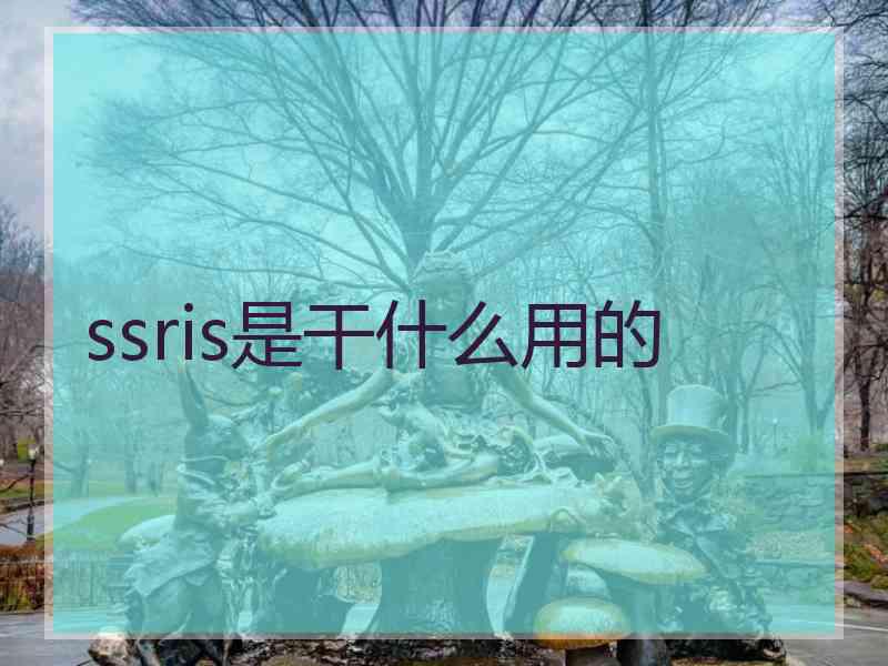 ssris是干什么用的