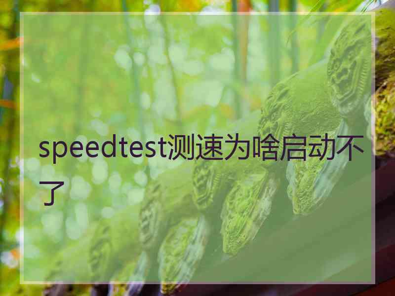 speedtest测速为啥启动不了