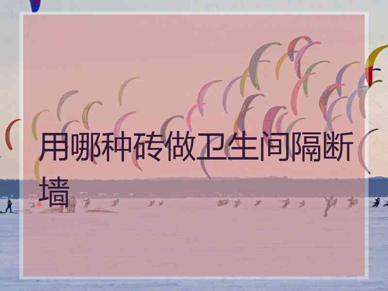 用哪种砖做卫生间隔断墙
