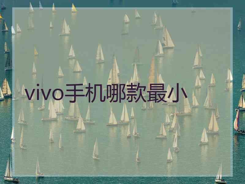 vivo手机哪款最小