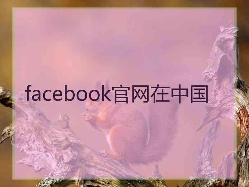 facebook官网在中国
