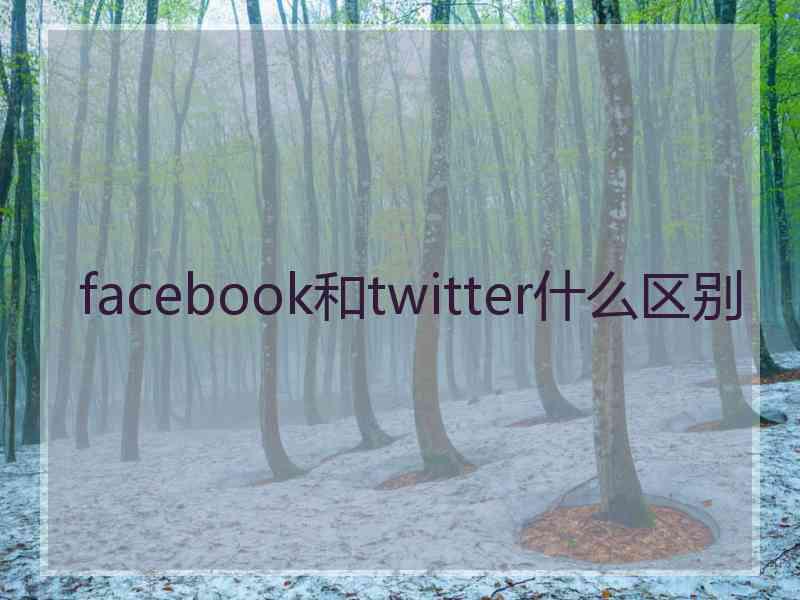facebook和twitter什么区别
