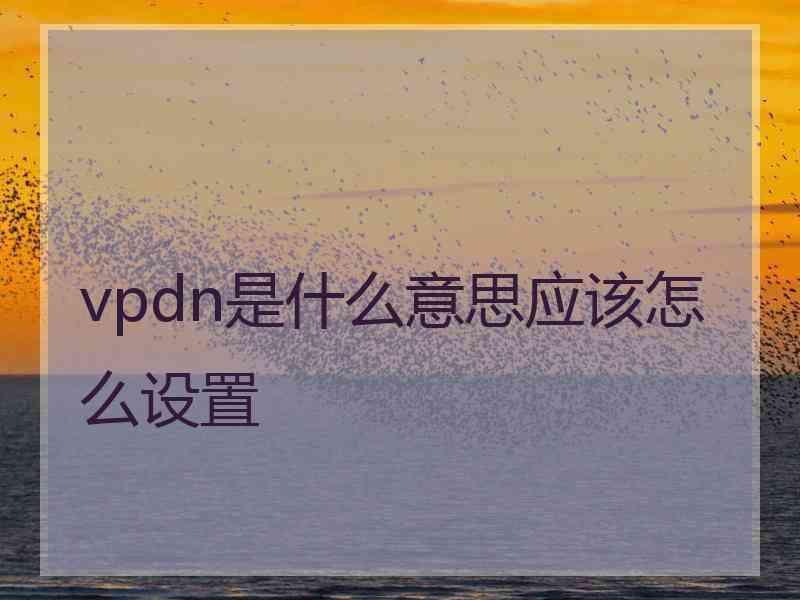 vpdn是什么意思应该怎么设置