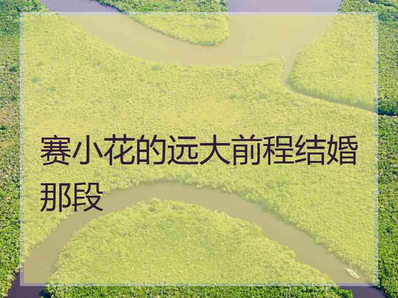 赛小花的远大前程结婚那段