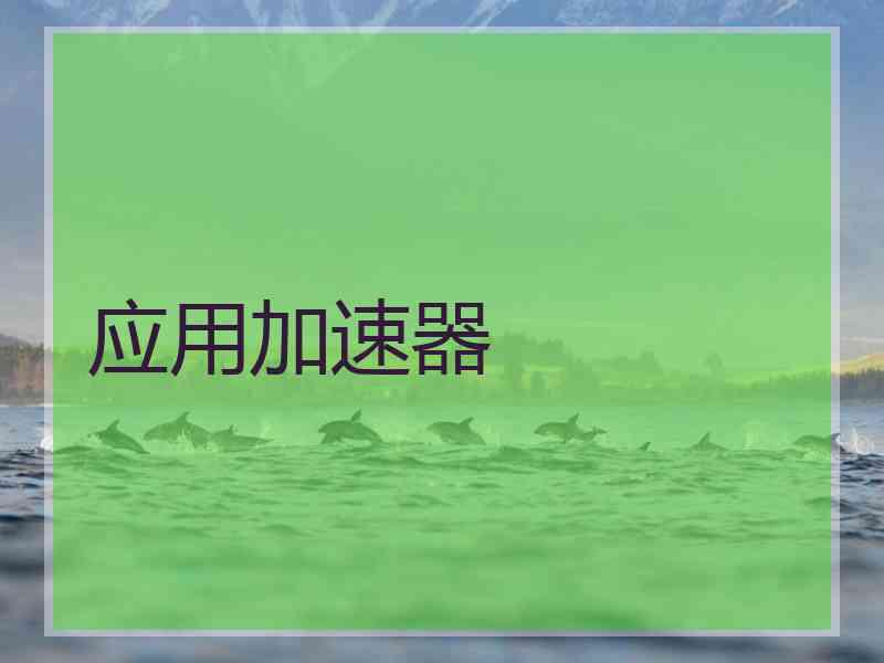 应用加速器