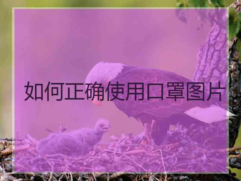 如何正确使用口罩图片