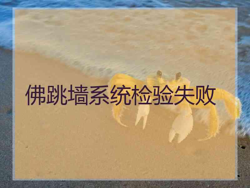 佛跳墙系统检验失败