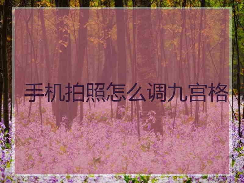 手机拍照怎么调九宫格