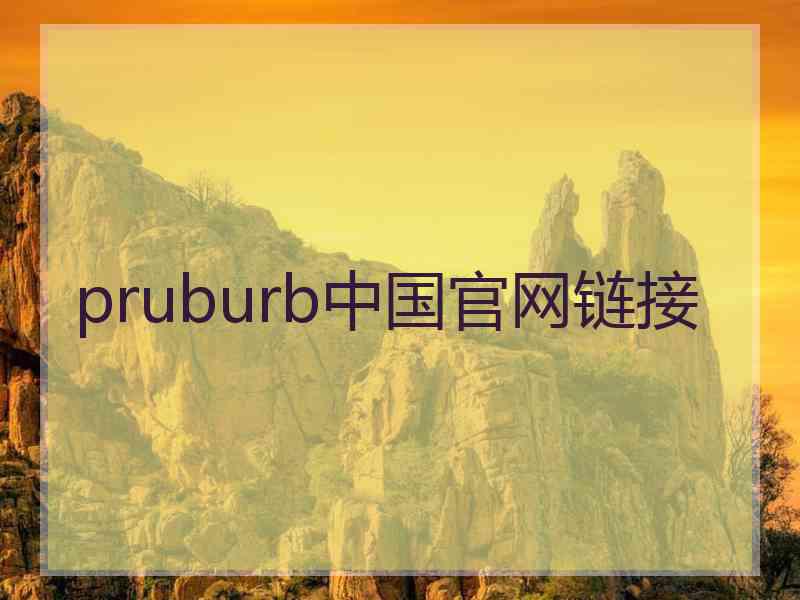 pruburb中国官网链接