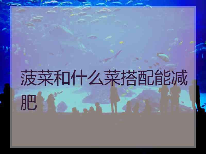 菠菜和什么菜搭配能减肥