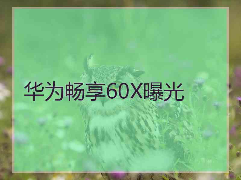 华为畅享60X曝光