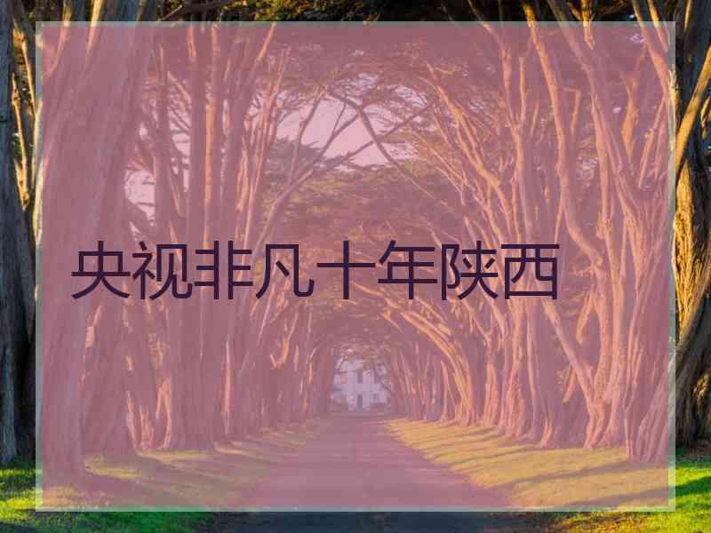 央视非凡十年陕西
