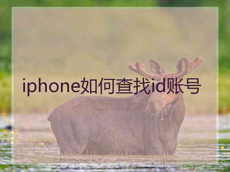 iphone如何查找id账号