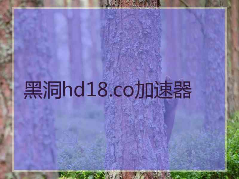 黑洞hd18.co加速器