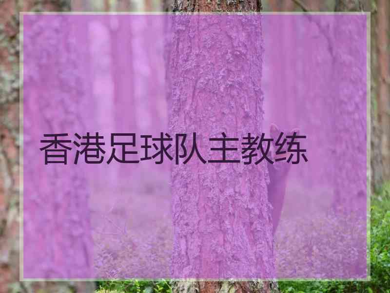 香港足球队主教练