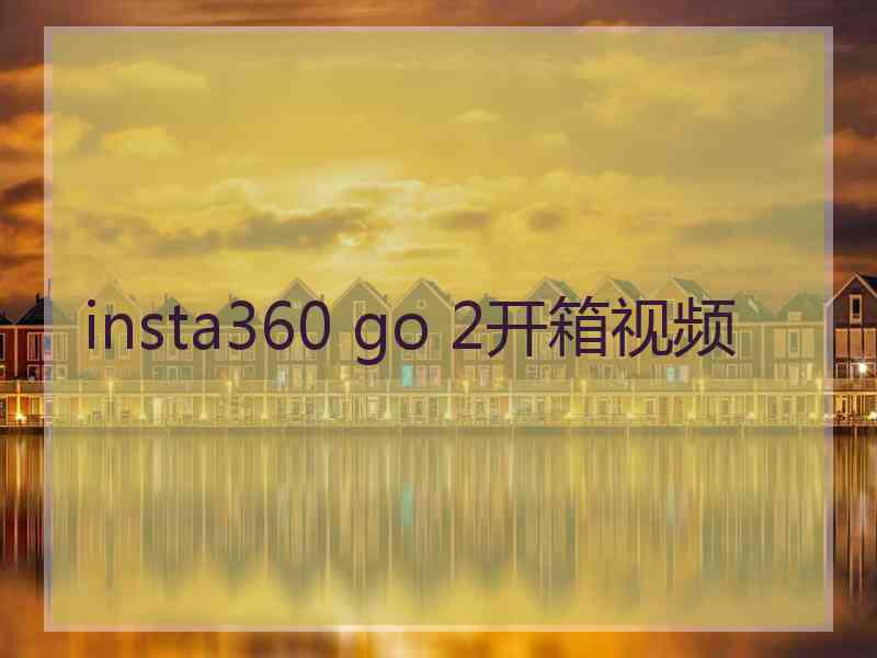 insta360 go 2开箱视频