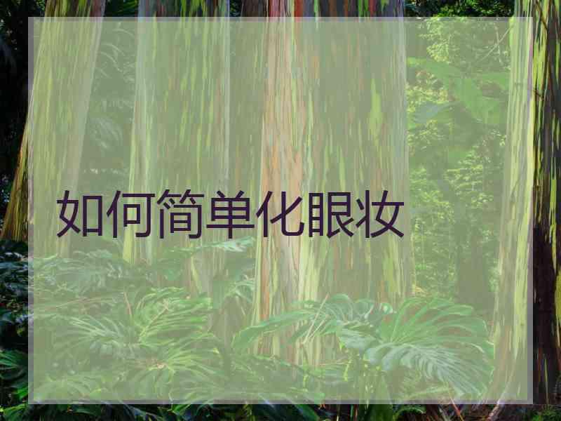 如何简单化眼妆