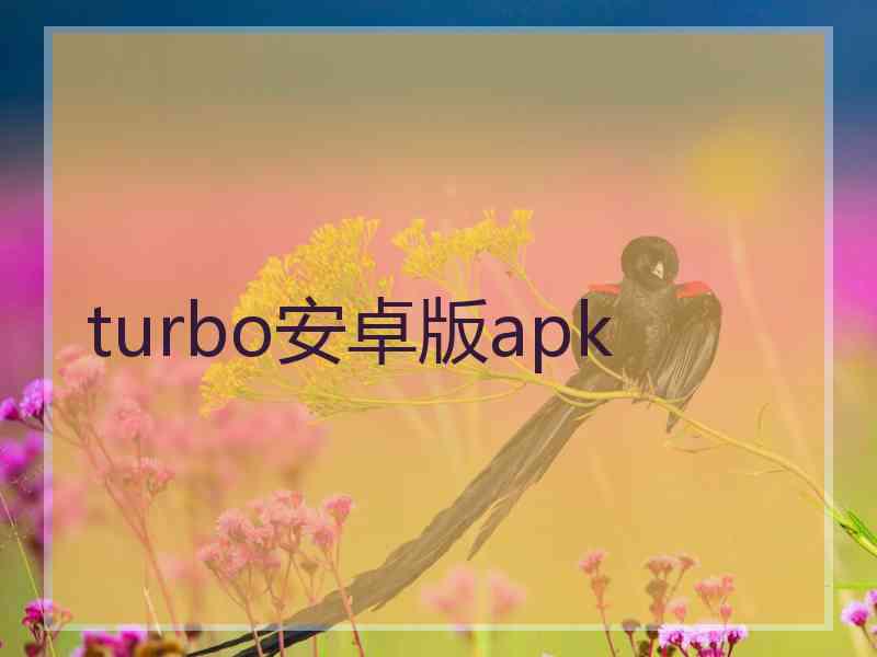 turbo安卓版apk