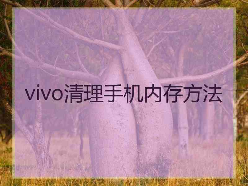 vivo清理手机内存方法