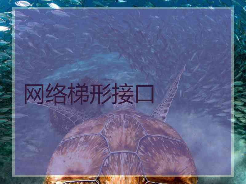网络梯形接口