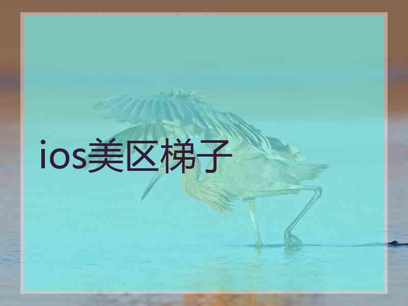 ios美区梯子