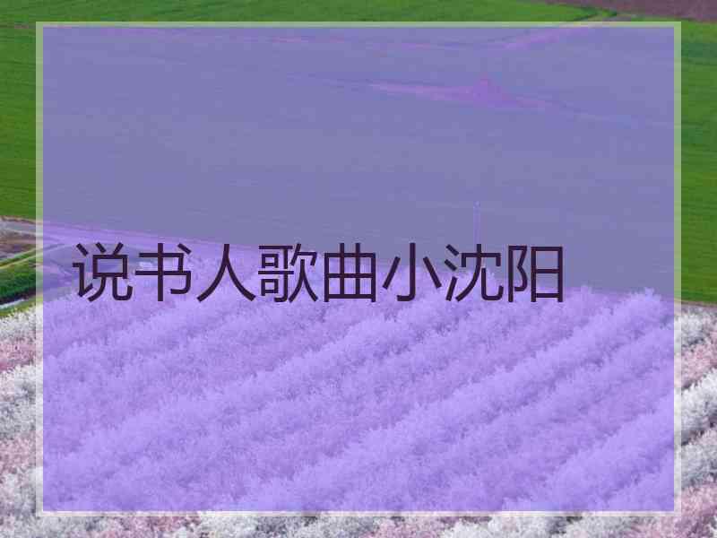 说书人歌曲小沈阳